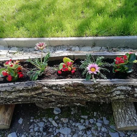 Demeny Vendeghaz Villa Sub Cetate Bagian luar foto