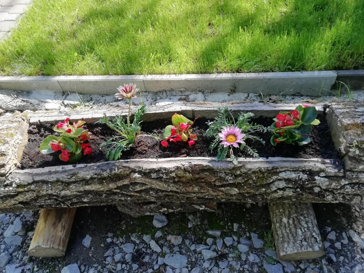 Demeny Vendeghaz Villa Sub Cetate Bagian luar foto